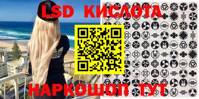 индика Можайск