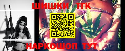 индика Можайск
