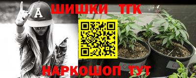 дживик Можга