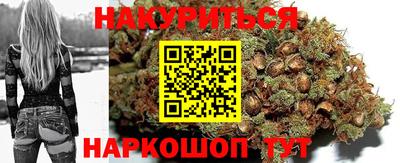 индика Можайск