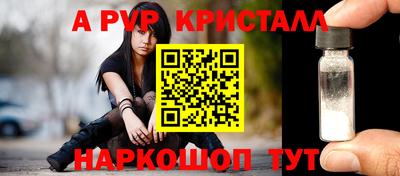 дживик Можга