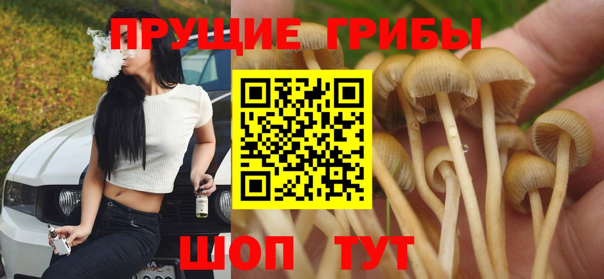 Галлюциногенные грибы MAGIC MUSHROOMS Владивосток