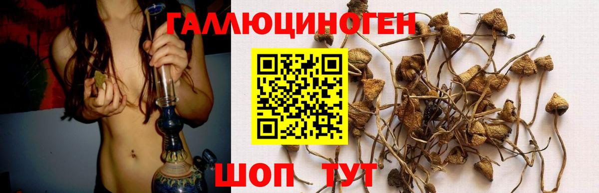 Галлюциногенные грибы Psilocybe  Галлюциногенные грибы MAGIC MUSHROOMS  Владивосток  Вход с VPN 